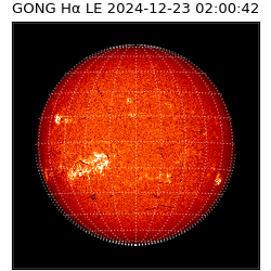gong - 2024-12-23T02:00:42