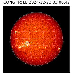 gong - 2024-12-23T03:00:42