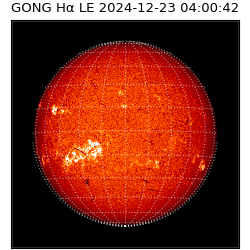 gong - 2024-12-23T04:00:42