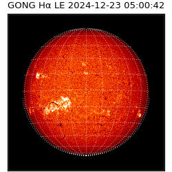 gong - 2024-12-23T05:00:42