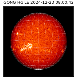 gong - 2024-12-23T08:00:42