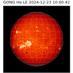 gong - 2024-12-23T10:00:42