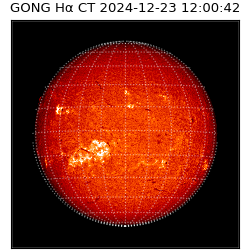 gong - 2024-12-23T12:00:42