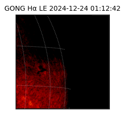 gong - 2024-12-24T01:12:42