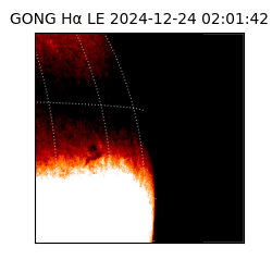 gong - 2024-12-24T02:01:42