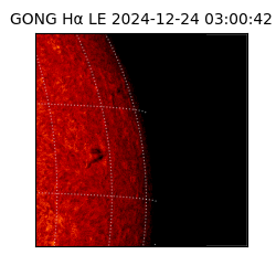 gong - 2024-12-24T03:00:42