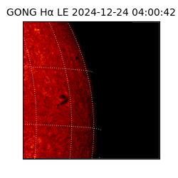gong - 2024-12-24T04:00:42
