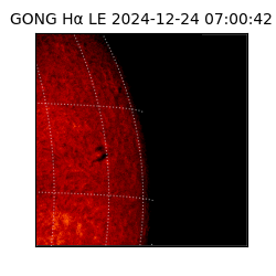 gong - 2024-12-24T07:00:42