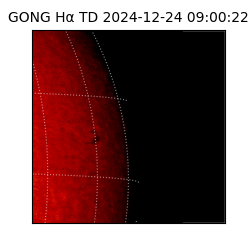 gong - 2024-12-24T09:00:22