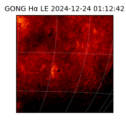 gong - 2024-12-24T01:12:42