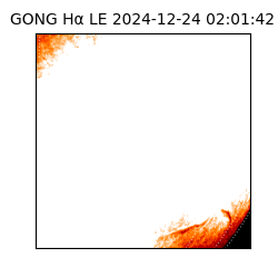 gong - 2024-12-24T02:01:42