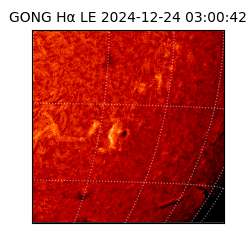 gong - 2024-12-24T03:00:42