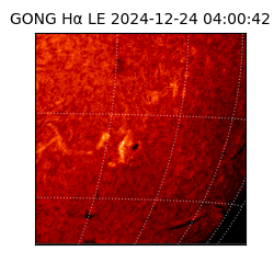 gong - 2024-12-24T04:00:42
