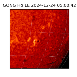gong - 2024-12-24T05:00:42
