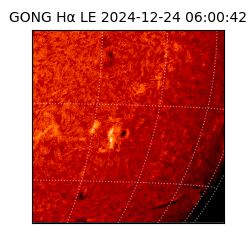 gong - 2024-12-24T06:00:42
