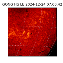 gong - 2024-12-24T07:00:42