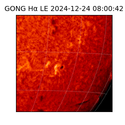 gong - 2024-12-24T08:00:42