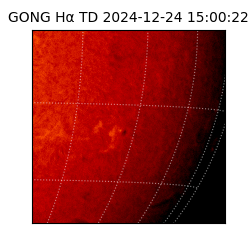 gong - 2024-12-24T15:00:22