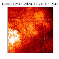 gong - 2024-12-24T01:12:42