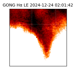 gong - 2024-12-24T02:01:42