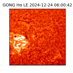 gong - 2024-12-24T06:00:42