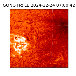 gong - 2024-12-24T07:00:42