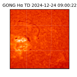 gong - 2024-12-24T09:00:22