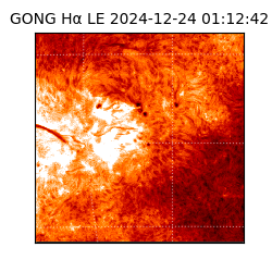 gong - 2024-12-24T01:12:42