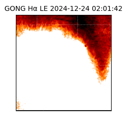 gong - 2024-12-24T02:01:42