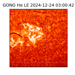 gong - 2024-12-24T03:00:42