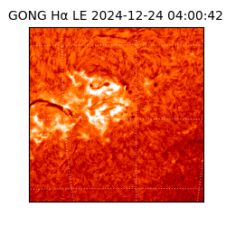 gong - 2024-12-24T04:00:42