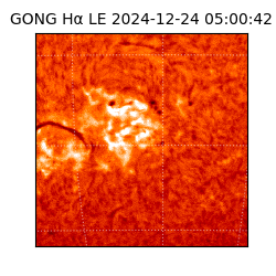 gong - 2024-12-24T05:00:42