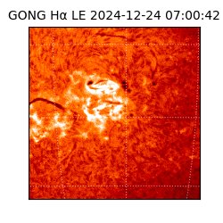 gong - 2024-12-24T07:00:42