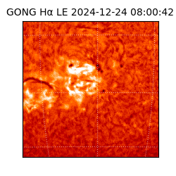 gong - 2024-12-24T08:00:42