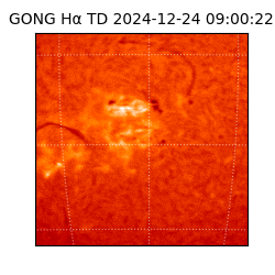 gong - 2024-12-24T09:00:22