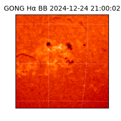 gong - 2024-12-24T21:00:02