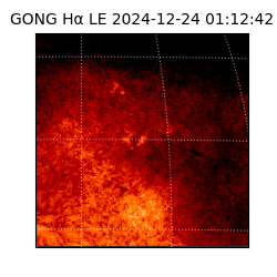 gong - 2024-12-24T01:12:42