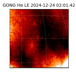 gong - 2024-12-24T02:01:42