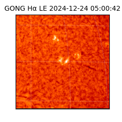 gong - 2024-12-24T05:00:42