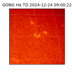 gong - 2024-12-24T09:00:22