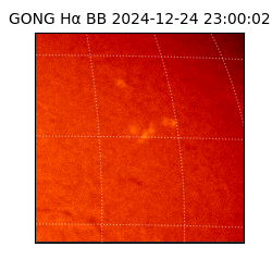 gong - 2024-12-24T23:00:02