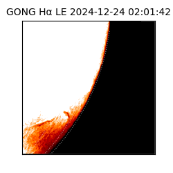 gong - 2024-12-24T02:01:42