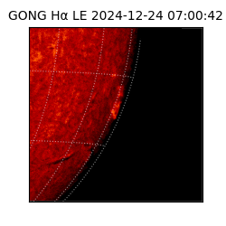 gong - 2024-12-24T07:00:42