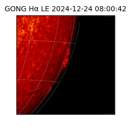 gong - 2024-12-24T08:00:42