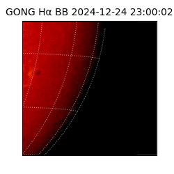 gong - 2024-12-24T23:00:02