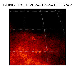 gong - 2024-12-24T01:12:42