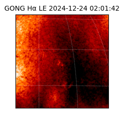gong - 2024-12-24T02:01:42