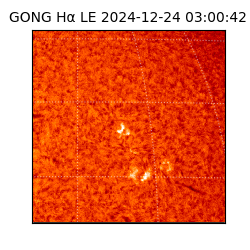gong - 2024-12-24T03:00:42