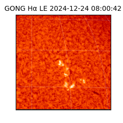gong - 2024-12-24T08:00:42