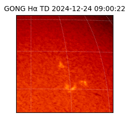 gong - 2024-12-24T09:00:22